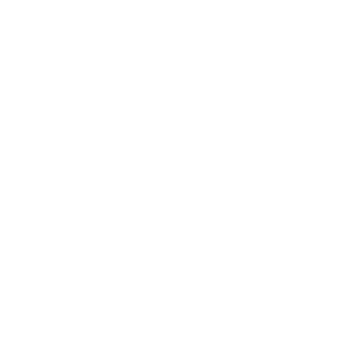 Walter Diagnostic icon